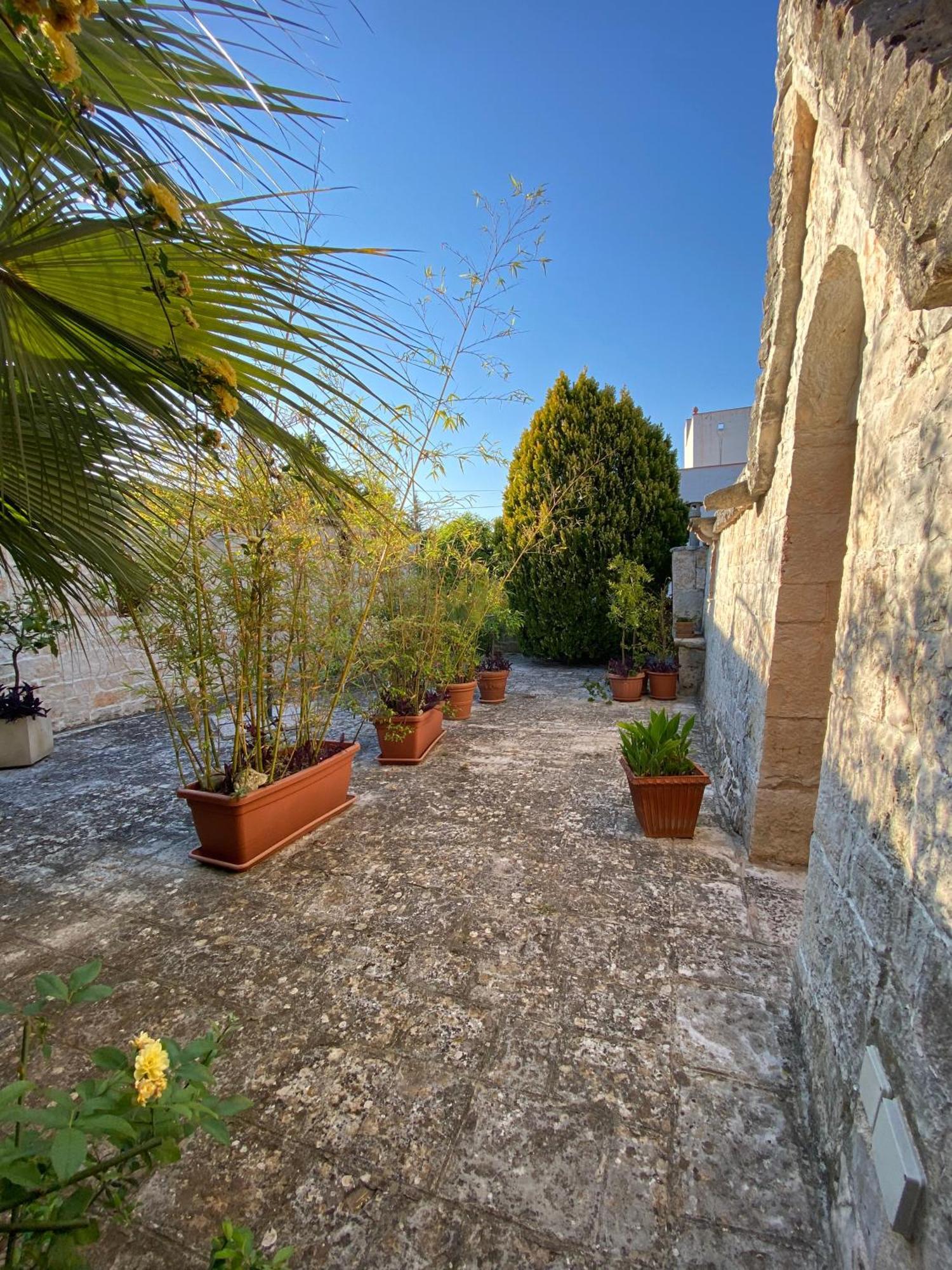 Trulli And Nature Antonelli Zimmer foto